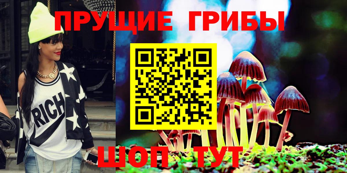 Михайловка  Галлюциногенные грибы GOLDEN TEACHER  Галлюциногенные грибы Psilocybe  Вход с VPN 